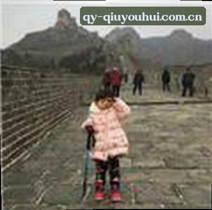 赵敏